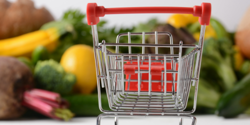 Sans titre – 2022-10-31T141847.295